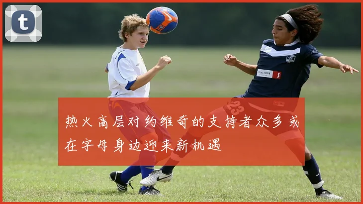 热火高层对约维奇的支持者众多或在字母身边迎来新机遇