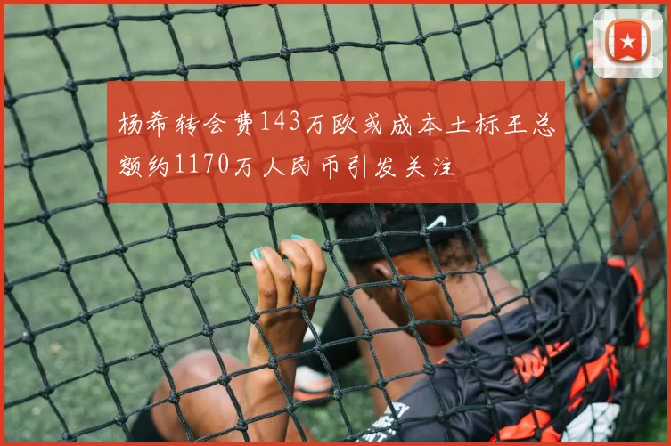 杨希转会费143万欧或成本土标王总额约1170万人民币引发关注