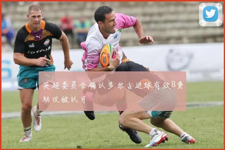 英超委员会确认多尔古进球有效B费助攻被认可